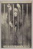 東洋無比　矢野動物園　(猩々)/Unrivaled in East Asia, Yano Zoo, (Orangutan) image