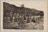 磐梯山破裂横死三十六人長坂村へ埋葬之墓標/Grave Markers at the Burial Site in Nagasakamura for 36 People Who Died a Sudden Death Due to the Mt. Bandai Eruption image