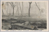 (松本市大火)片端町ヨリ出井番方面ノ大惨状/(Great Fire of Matsumotoshi) Severe Devastation of the Area from Katahamachi to Deiban image