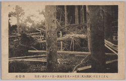 函館大風絵葉書 / Picture Postcards of the Gales in Hakodate image