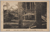 (函館大風)惨憺タル光景谷地頭ニ於ケル杉林ノ惨状/September 25th (Gales in Hakodate) Tragic Sight: Scene of the Disaster of the Cedar Forest in Yachigashira image
