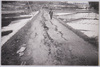 市場村幾地ヨリ岩屋村ニ通ズル道路/Road Leading from Ikuji, Ichibamura, to Iwayamura image