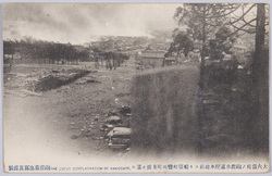 大火当時ノ函館水道配水地前ヨリ船場町豊川町方面ヲ望ム / View from the Front of the Hakodate Tap Water Supply Station toward Funabachō and Toyokawachō during the Great Fire image