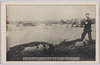 明治四十三年八月大洪水ノ実況亀井戸附近ニ於ケル牛ノ溺死/Actual Scene of the Great Flood of August 1910: Drowned Cow near Kameido image