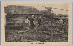 千葉県船橋近傍ノ大惨害 / Serious Devastation near Funabashi, Chibaken image
