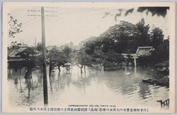 (六十年来未曽有大洪水の帝都)向島三囲稲荷神社付近の惨状陸上浸水六尺余 / (Imperial Capital Struck by the Unprecedented Great Flood in 60 Years) Scene of the Disaster near the Mimeguri Inari Shrine, Mukōjima; Over 6 Shaku (Approx. 1.8 Meters) of Land Inundation image