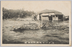 江戸川上流堤防の決潰 / Breach of the Upstream Embankment of the Edogawa River image