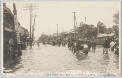 明治四十三年八月凄惨なる水害実況(小石川春日町停留場附近) / Actual Scene of the Tragic Flood Disaster of August 1910 (Vicinity of Kasugachō Station, Koishikawa) image