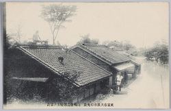 東京市大出水ノ光景向嶋寺島村屋上・家禽 / Scene of the Great Flood in Tokyoshi: Taking Shelter on the Roof with Fowls and Dog, Terajimamura, Mukōjima image
