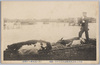四十三年大洪水紀念八月十六日ノ実況(牛ノ溺死亀井戸附近)/Commemoration of the Great Flood of 1910: Actual Scene on August 16th (Drowned Cows near Kameido) image