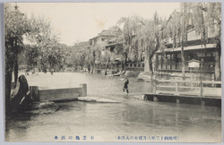 (明治四十三年八月稀有の大洪水)不忍池の洪水 / (Unusual Great Flood of August 1910) Flood of the Shinobazu Pond image