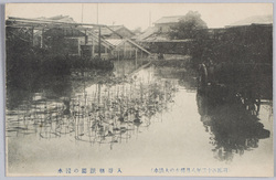 (明治四十三年八月稀有の大洪水)入谷朝顔園の浸水 / (Unusual Great Flood of August 1910) Inundation in the Iriya Morning Glory Garden image