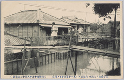 都下稀有ノ大洪水向島堤ヨリ見ル小梅土手下ノ浸水 / Unusual Great Flood in the Capital: Inundation below the Koume Embankment, Viewed from the Mukōjima Embankment image