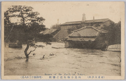 (東京大洪水)向島小梅附近之惨状(明治四十三年八月) / (Great Tokyo Flood) Scene of the Disaster near Koume, Mukōjima (August 1910) image