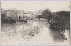 (明治四十三年八月稀有の大洪水)入谷朝顔園の浸水 / (Unusual Great Flood of August 1910) Inundation in the Iriya Morning Glory Garden image