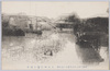 (明治四十三年八月稀有の大洪水)入谷朝顔園の浸水/(Unusual Great Flood of August 1910) Inundation in the Iriya Morning Glory Garden image