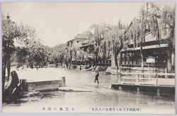 (明治四十三年八月稀有の大洪水)不忍池の洪水 / (Unusual Great Flood of August 1910) Flood of the Shinobazu Pond image