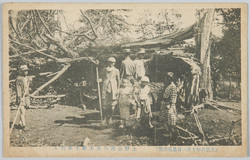 (大正六年十月一日暴風被害)上野公園の大木数十本倒る / (Storm Damage on October 1st, 1917) Dozens of Large Trees in Ueno Park Were Brought Down image