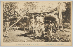 (大正六年十月一日暴風被害)上野公園の大木数十本倒る / (Storm Damage on October 1st, 1917) Dozens of Large Trees in Ueno Park Were Brought Down image