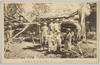 (大正六年十月一日暴風被害)上野公園の大木数十本倒る/(Storm Damage on October 1st, 1917) Dozens of Large Trees in Ueno Park Were Brought Down image