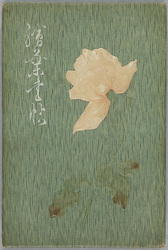 絵葉書帳 / Postcards Book image