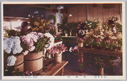 (日本風俗)切花屋 / (Japanese Customs) Florist image