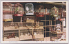 (日本風俗)小鳥屋/(Japanese Customs) Bird Shop image