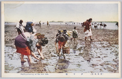 (日本風俗)汐干狩 / (Japanese Customs) Shell-gathering at Low Tide image