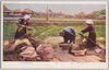 (日本風俗)稲こき/(Japanese Customs) Rice Threshing image