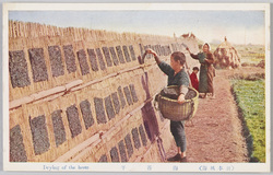 (日本風俗)海苔干 / (Japanese Customs) Drying Seaweed image