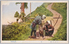 (日本風俗)駕/(Japanese Customs) Palanquin image