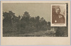 第五師団長木越中将閣下　広島城/Lieutenant General Kigoshi, Commander of the 5th Division, Hiroshima Castle image
