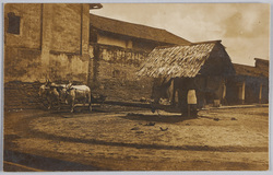 製粉機を引く牛 / Cows Powering a Flour Mill image