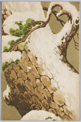 松に雪 / Snow on Pine image