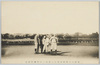 早稲田大学対市俄古大学第三回野球戦紀念/Commemoration of the Third Baseball Game between Waseda University and the University of Chicago image