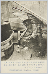 明治四十一年六月八日大雹塊絵葉書 / Picture Postcards, June 8th, 1908: Large Hailstones image