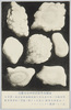 帝国大学教授田中博士実写明治四十一年六月八日/June 8th, 1908: Picture Taken by Dr. Tanaka, Professor of the Imperial University (Large Hailstones) image