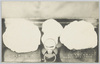 明治四十一年六月八日大雹塊/June 8th, 1908: Large Hailstones image