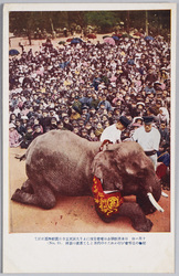 十月一日日本佛教聯合日曜会主催により大阪天王寺公園動物園に於て動物の追悼会が行われたその代表として象君の参拝(No 15) / October 1st: Japan Buddhist Sunday School Association Hosted a Ceremony in Memory of Animals at the Osaka Tennoji Zoo; an Elephant Offering Prayers as the Representative of Animals (No. 15) image