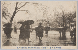 何事ゾ花ノ盛リニ雪粉々大正三年四月四日上野公園ノ夕景 / How Strange! Powdery Snow in the Cherry Blossom Season, April 4th, 1914, Evening Scene of Ueno Park image