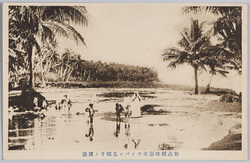 新占領地南洋サイパン島椰子ノ浜辺 / Newly Occupied Territory in the South Seas, Palm Beach, Saipan Island image