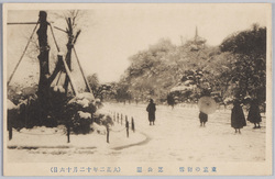 東京の初雪芝公園(大正二年十二月十六日) / The First Snowfall of the Season in Tokyo, Shiba Park (December 16th, 1913) image