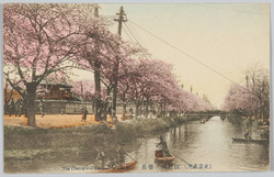 (東京名所)江戸川の桜花 / (Famous Views of Tokyo) Cherry Blossoms along the Edogawa River image