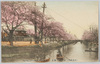 (東京名所)江戸川の桜花/(Famous Views of Tokyo) Cherry Blossoms along the Edogawa River image