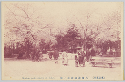 (東京名所)九段遊就館前ノ桜 / (Famous Views of Tokyo) Cherry Blossoms in Front of the Yushukan Museum, Kudan image