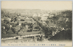 (東京名所)芝愛宕山ヨリ市街ヲ望ム(其ノ一) / (Famous Views of Tokyo) View of the City from Atagoyama Hill, Shiba (1) image
