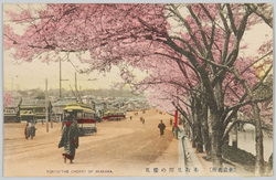 (東京名所)赤坂見附の桜花 / (Famous Views of Tokyo) Cherry Blossoms in Akasaka Mitsuke image
