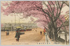 (東京名所)赤坂見附の桜花/(Famous Views of Tokyo) Cherry Blossoms in Akasaka Mitsuke image