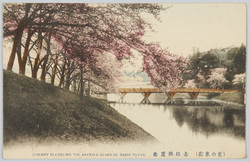(花の東都)赤坂弁慶橋 / (The Eastern Capital in Full Bloom) Benkeibashi Bridge, Akasaka image