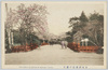 赤坂弁慶橋の桜花/Benkeibashi Bridge and Cherry Blossoms, Akasaka image